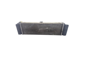 Echangeur air (Intercooler) MERCEDES SPRINTER 3 Photo n°1