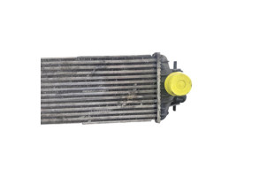 Echangeur air (Intercooler) RENAULT TRAFIC 2 Photo n°3
