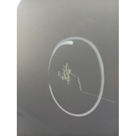 Capot FORD GRAND C-MAX 2