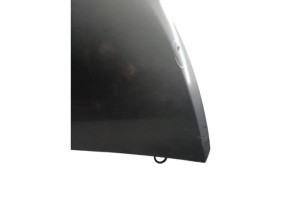 Capot RENAULT TRAFIC 3 COURT Photo n°5