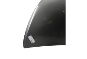 Capot RENAULT TRAFIC 3 COURT Photo n°9