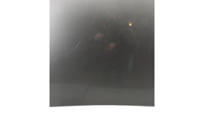 Capot RENAULT TRAFIC 3 COURT Photo n°10