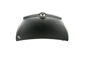 Capot RENAULT TRAFIC 3 COURT Photo n°12