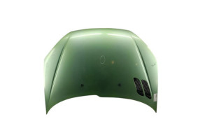 Capot PEUGEOT 206 Photo n°1