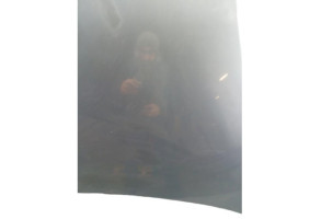 Capot AUDI A3 2 Photo n°3