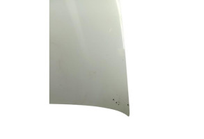 Capot FIAT PANDA 2 Photo n°5