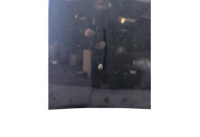 Capot DACIA SANDERO 2 Photo n°2