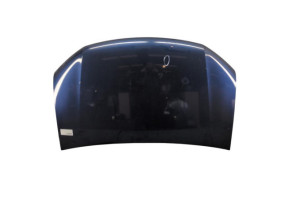 Capot DACIA SANDERO 2 Photo n°6