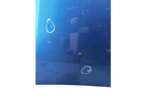 Capot DACIA SANDERO 2 Photo n°3