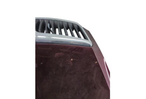 Capot SKODA OCTAVIA 2 Photo n°1