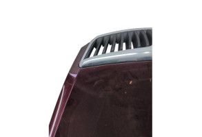 Capot SKODA OCTAVIA 2 Photo n°6