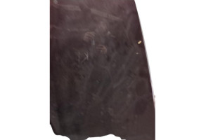 Capot SKODA OCTAVIA 2 Photo n°9