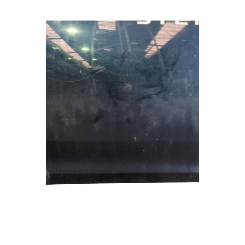 Porte avant droit DACIA SANDERO 2 Photo n°1