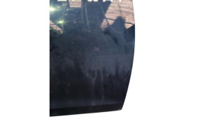 Porte avant droit DACIA SANDERO 2 Photo n°2