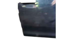 Porte avant droit DACIA SANDERO 2 Photo n°5