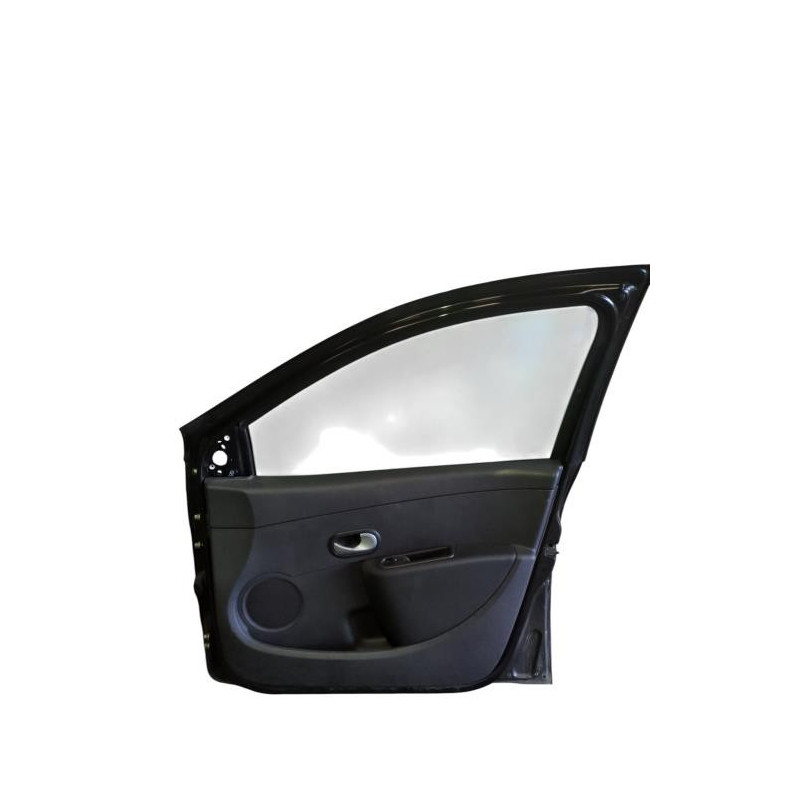 Porte avant droit RENAULT CLIO 3 Photo n°1