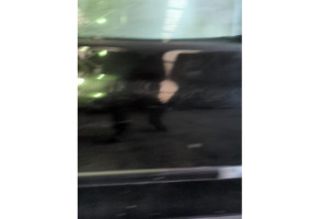 Porte avant droit RENAULT CLIO 3 Photo n°3