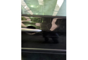 Porte avant droit RENAULT CLIO 3 Photo n°4