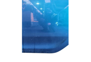 Porte arriere gauche DACIA SANDERO 2 Photo n°9