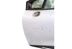 Porte avant gauche RENAULT CLIO 4 Photo n°5