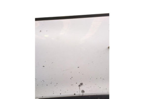 Porte avant gauche RENAULT CLIO 4 Photo n°6