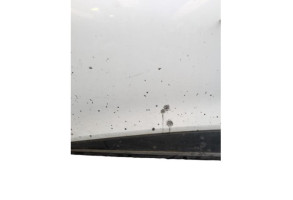 Porte avant gauche RENAULT CLIO 4 Photo n°8