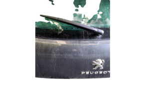 Malle/Hayon arriere PEUGEOT 3008 1 Photo n°6