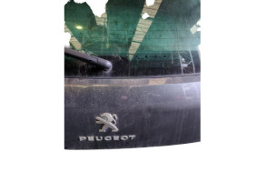 Malle/Hayon arriere PEUGEOT 3008 1 Photo n°7