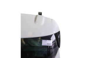 Malle/Hayon arriere RENAULT CLIO 4 Photo n°13