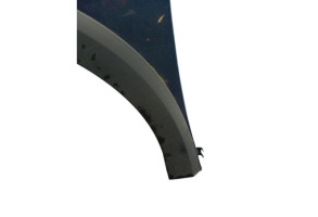 Aile avant gauche DACIA SANDERO 2 Photo n°7