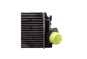 Echangeur air (Intercooler) RENAULT TALISMAN Photo n°6