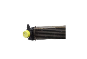 Echangeur air (Intercooler) PEUGEOT BOXER 3 Photo n°4