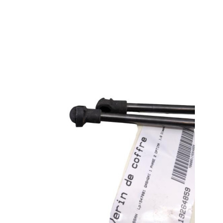 Verin de coffre NISSAN QASHQAI 1