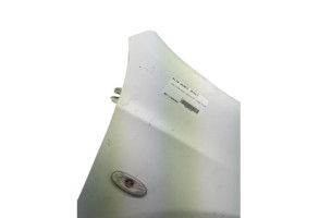 Aile avant droit NISSAN QASHQAI 1 Photo n°2