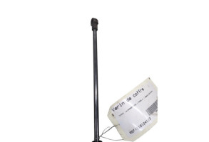 Verin de coffre TOYOTA AYGO 1 Photo n°3