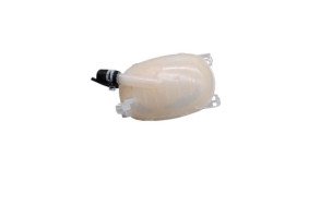 Vase d'expansion DACIA SANDERO 3 Photo n°3