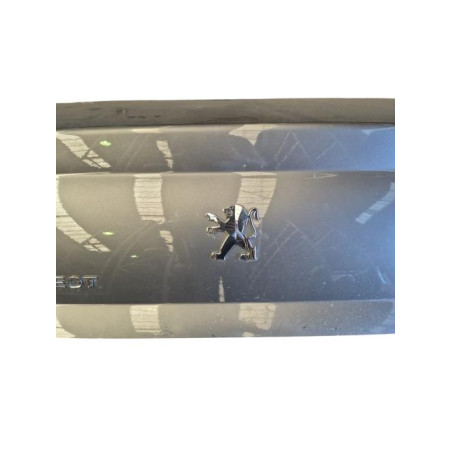 Malle/Hayon arriere PEUGEOT 407