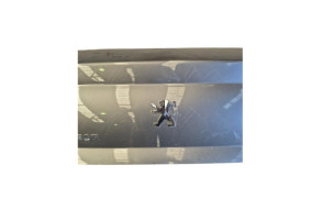 Malle/Hayon arriere PEUGEOT 407 Photo n°1