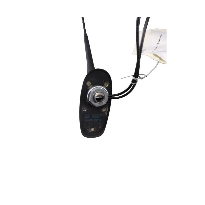 Antenne CITROEN C3 3 Photo n°1