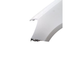 Aile avant gauche RENAULT CLIO 3 Photo n°7