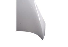 Capot RENAULT SCENIC 3 Photo n°3