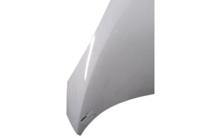 Capot RENAULT SCENIC 3 Photo n°4