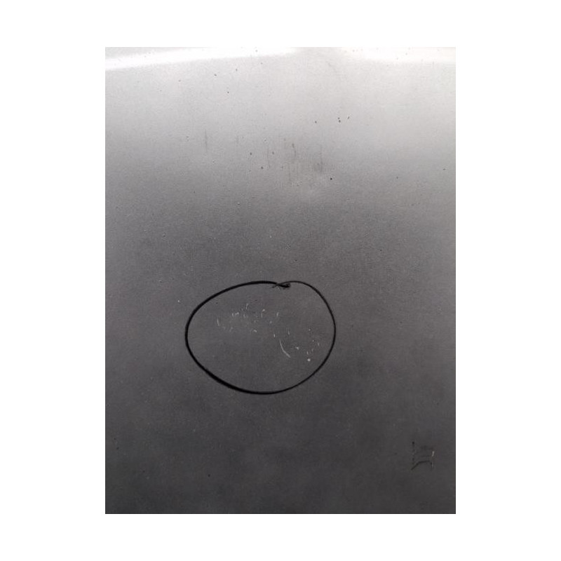 Capot SEAT IBIZA 4 Photo n°1