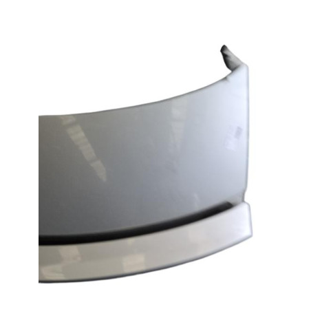 Malle/Hayon arriere AUDI TT 2