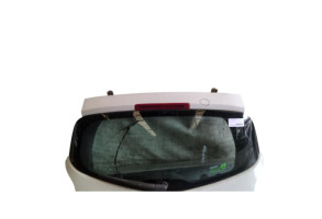 Malle/Hayon arriere RENAULT CLIO 3 Photo n°3