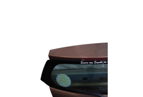 Malle/Hayon arriere SUZUKI ALTO 3 Photo n°5