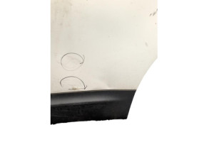 Porte arriere gauche NISSAN QASHQAI 1 Photo n°5