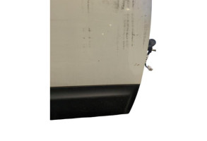 Porte avant droit NISSAN QASHQAI 1 Photo n°1