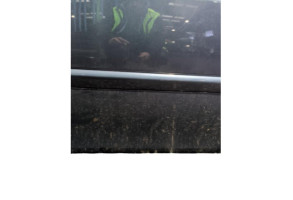 Porte avant droit RENAULT CLIO 3 Photo n°11