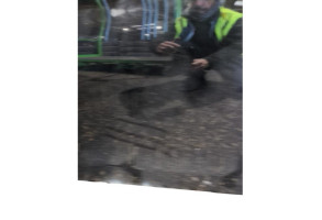 Porte arriere gauche PEUGEOT 308 2 SW Photo n°10